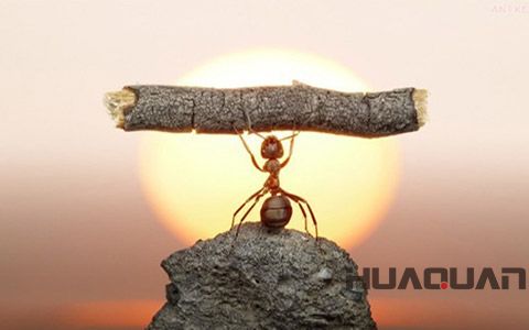 華全動力品牌故事之企業精神解讀（四） 全力以赴