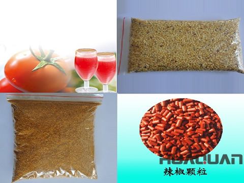 奔走在沙海、雪山的邊緣