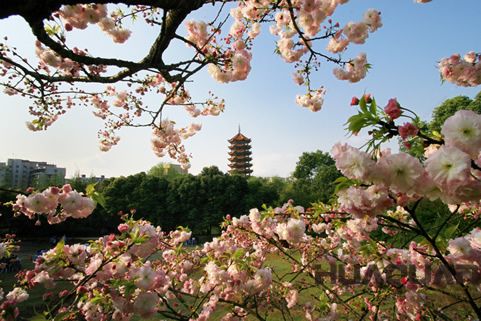 『隨華全，觀天下』 ——走進(jìn)渝北